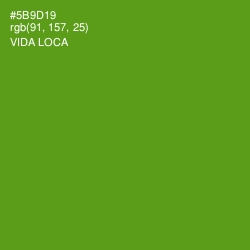 #5B9D19 - Vida Loca Color Image